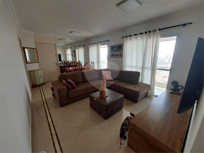 Foto REO1098455