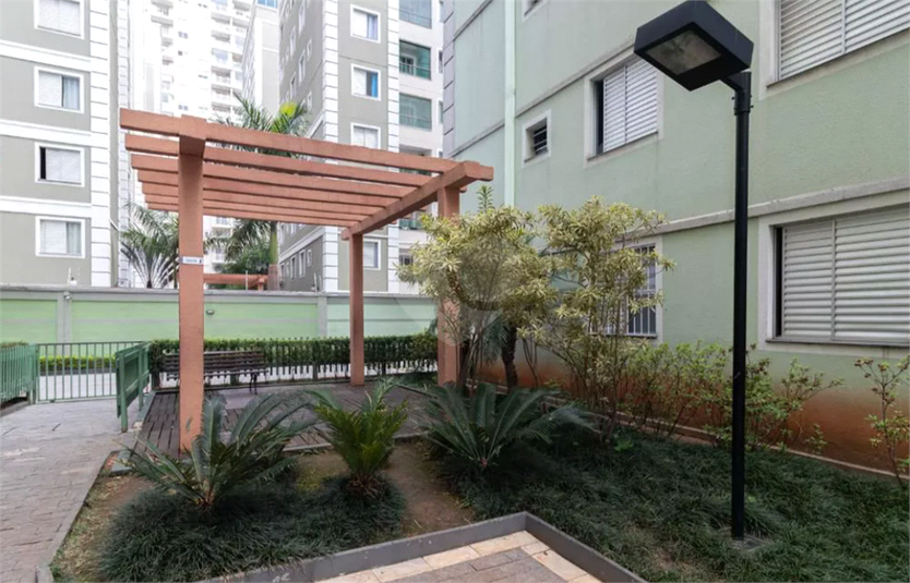 Foto REO1098461