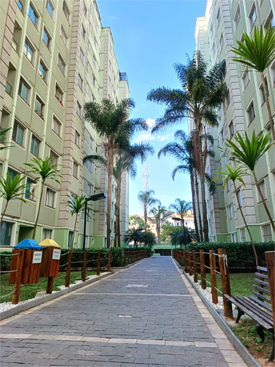 Foto REO1098461