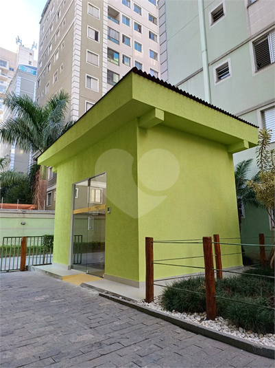 Foto REO1098461