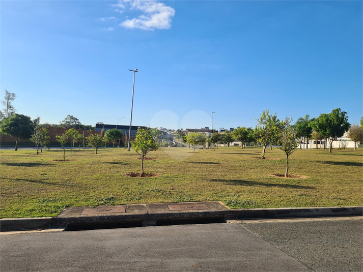 Foto REO1098464
