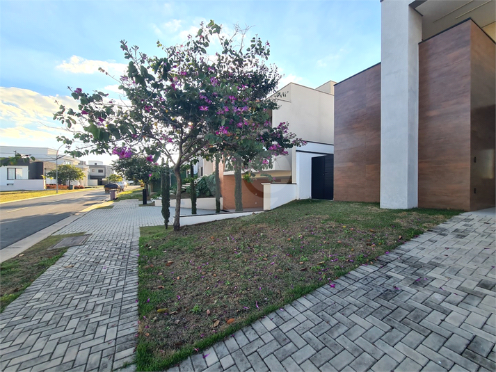 Foto REO1098464