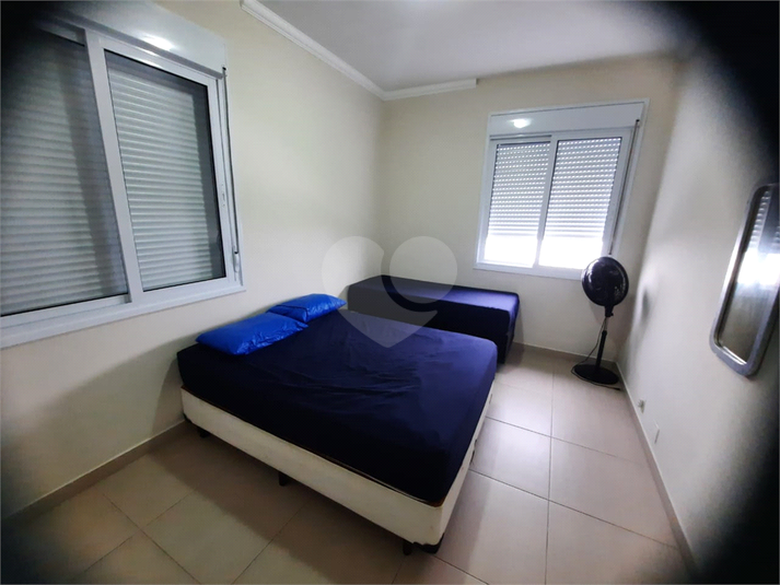 Foto REO1098467