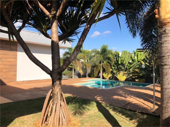 Foto REO1098468