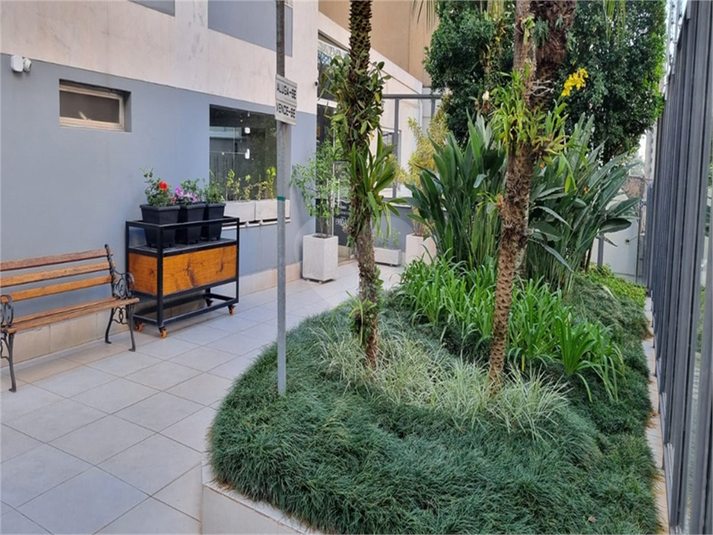 Foto REO1098469
