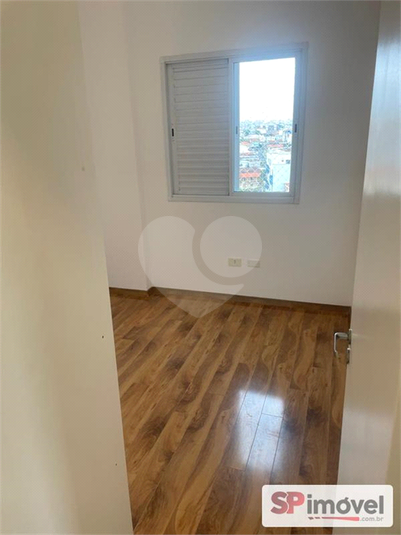 Foto REO1098475