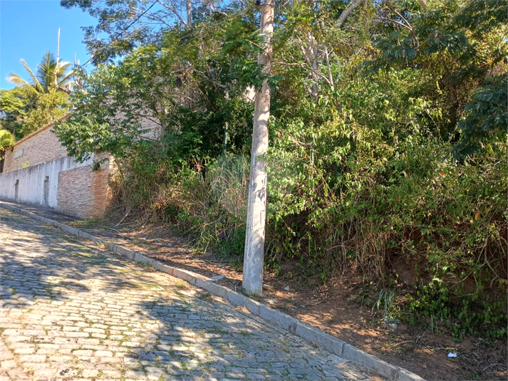 Foto REO1098485