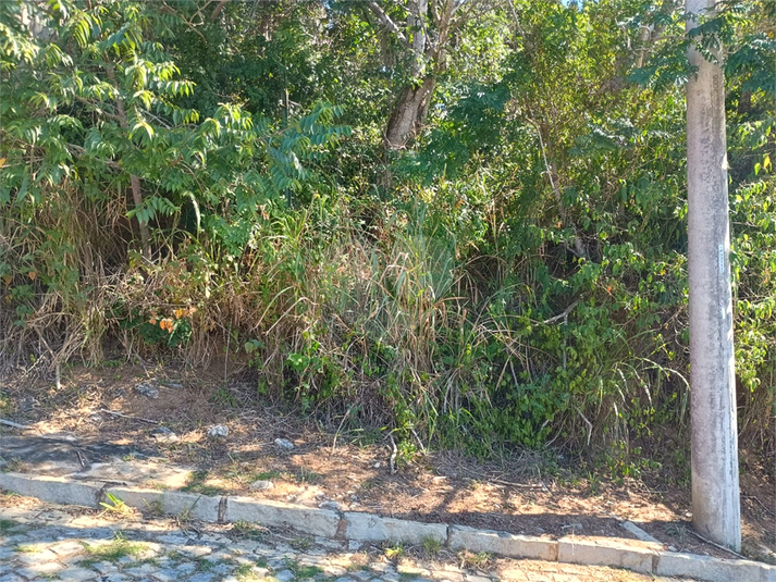 Foto REO1098485