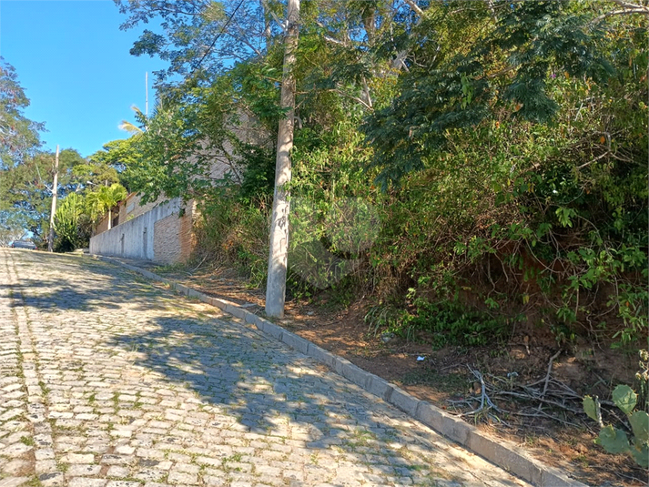 Foto REO1098485