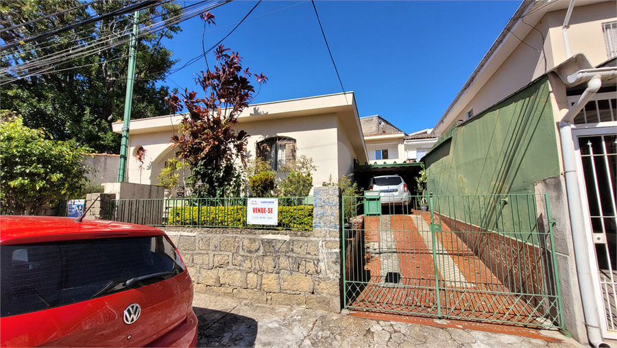 Foto REO1098495