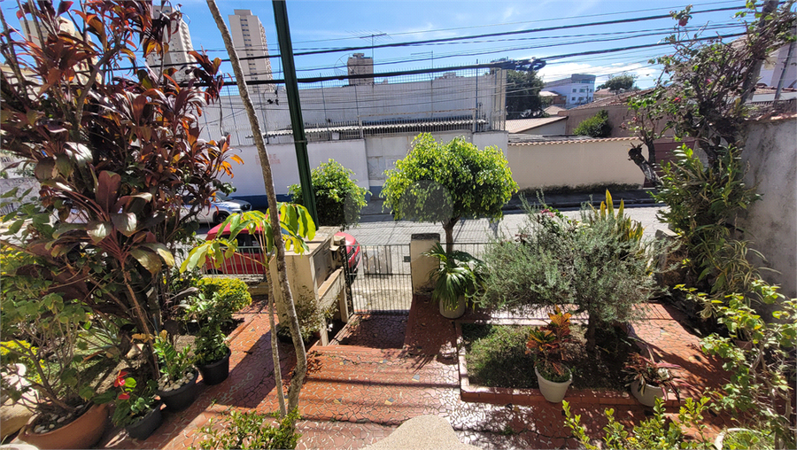 Foto REO1098495