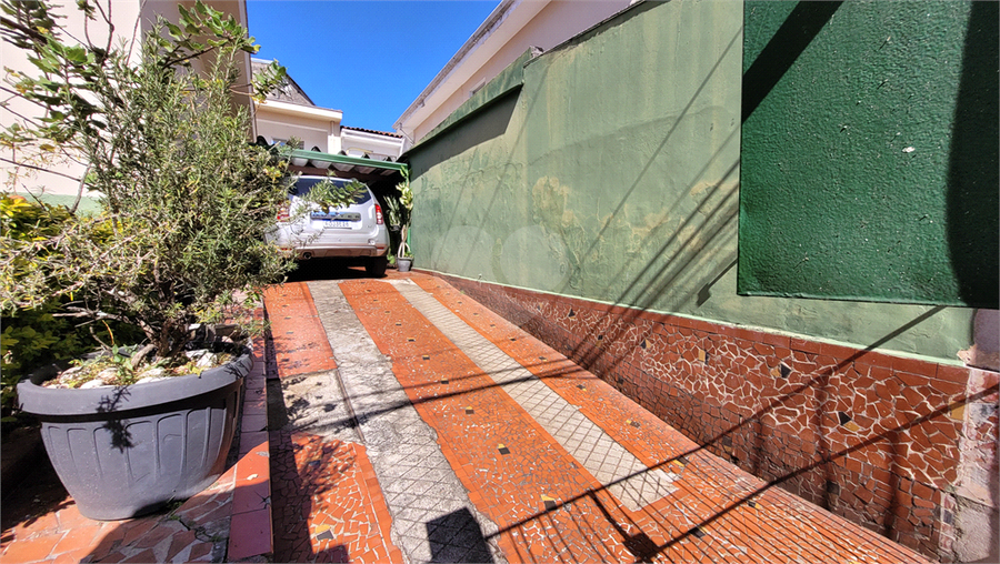 Foto REO1098495