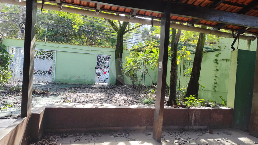 Foto REO1098496