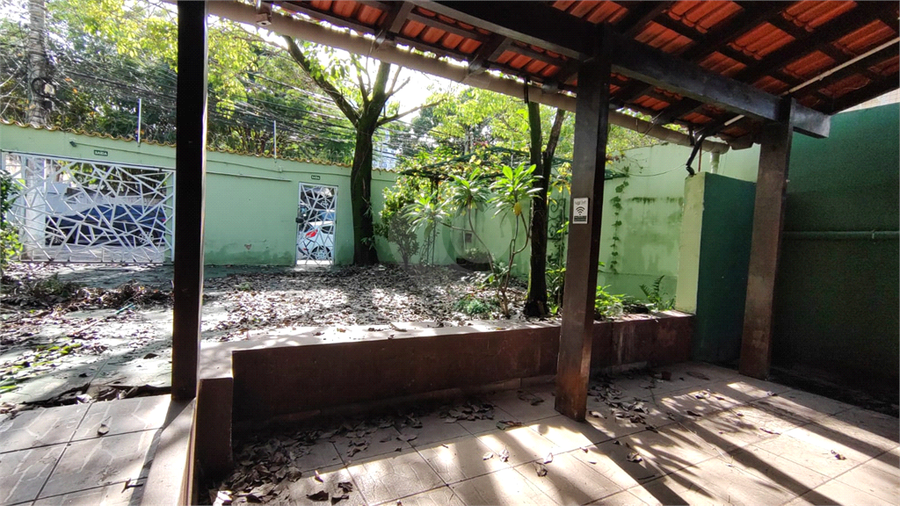 Foto REO1098496