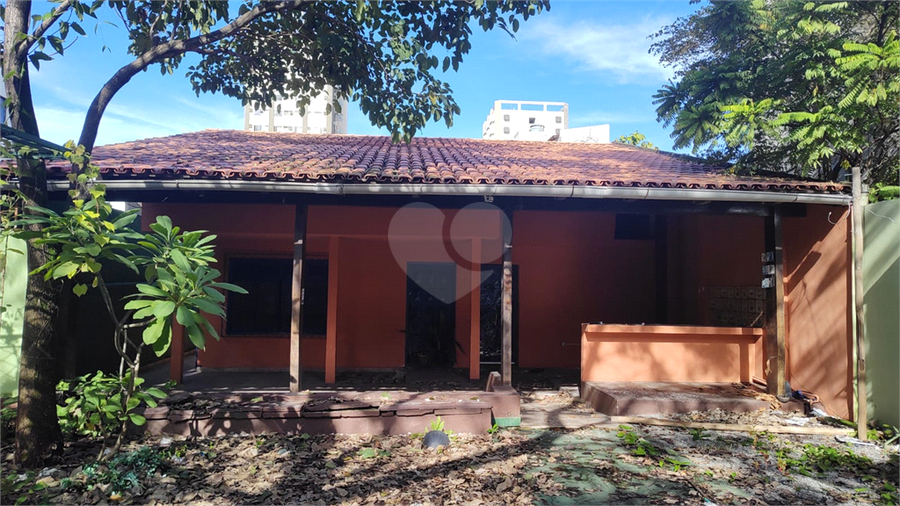 Foto REO1098496