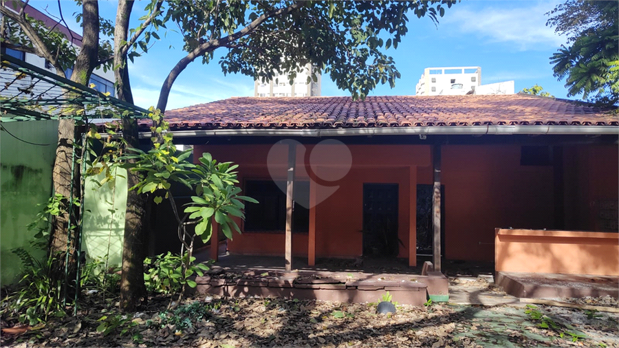 Foto REO1098496