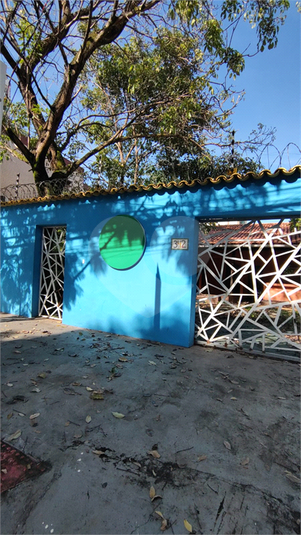 Foto REO1098496