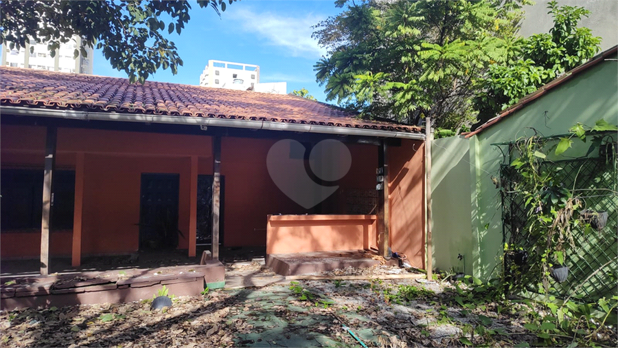 Foto REO1098496