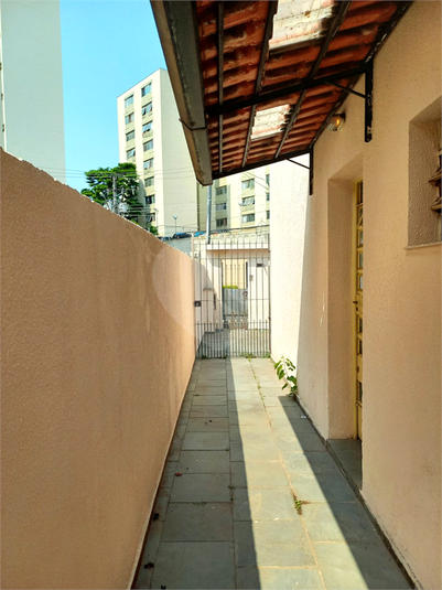 Foto REO1098501