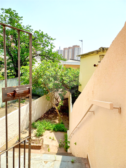 Foto REO1098501