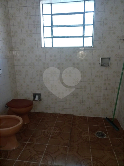 Foto REO1098504