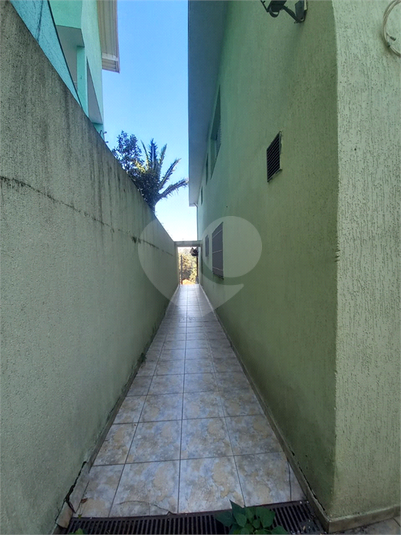 Foto REO1098504