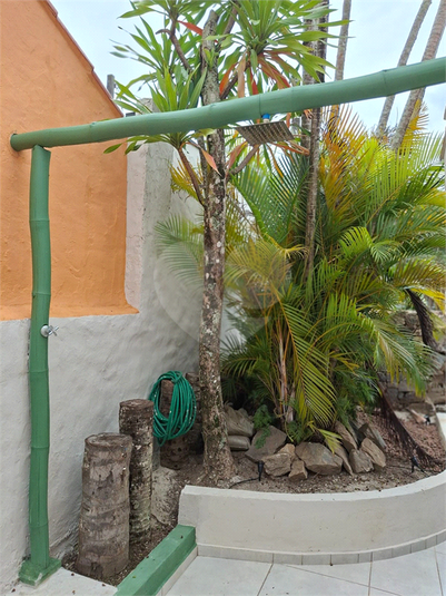 Foto REO1098509