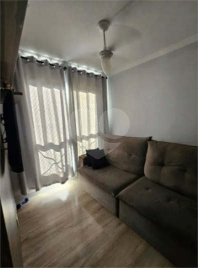 Foto REO1098512