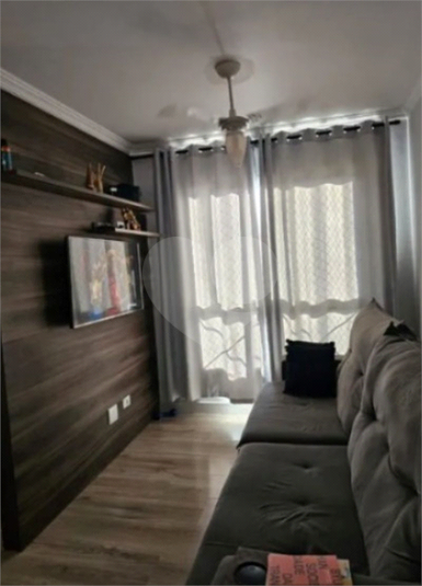 Foto REO1098512