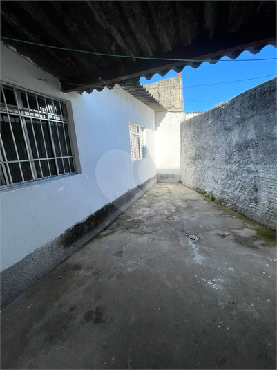 Foto REO1098527