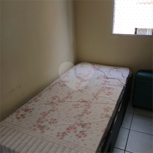 Foto REO1098532