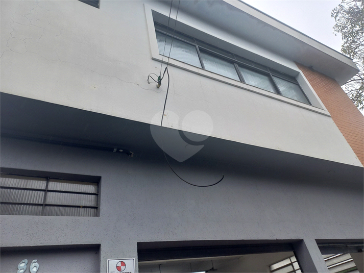 Foto REO1098536