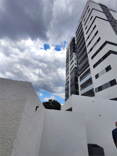 Foto REO1098541