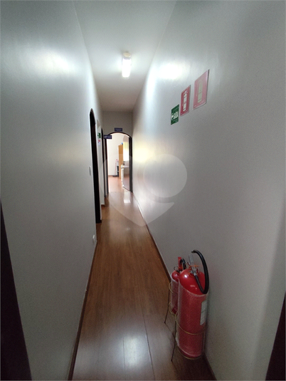 Foto REO1098560
