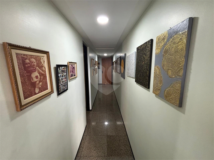 Foto REO1098562