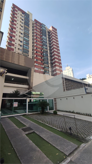 Foto REO1098569