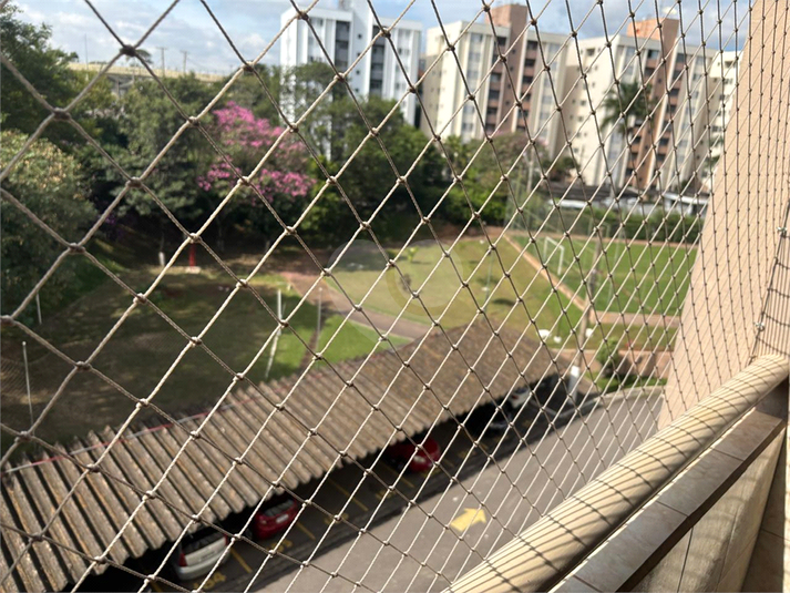 Foto REO1098582