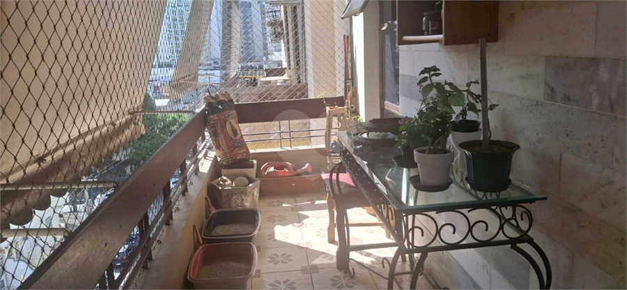 Foto REO1098583
