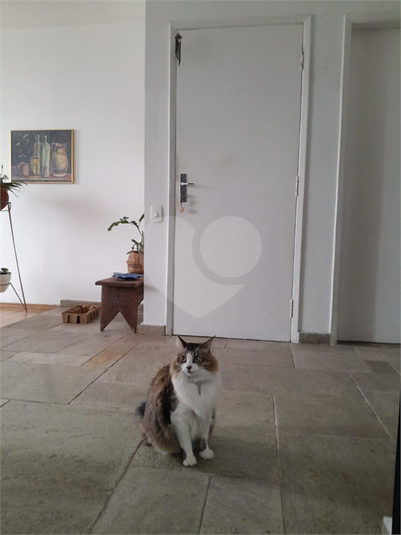 Foto REO1098586