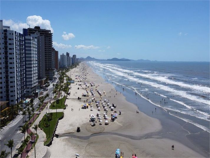 Foto REO1098599