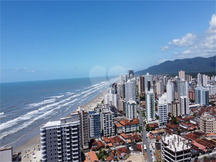 Foto REO1098599