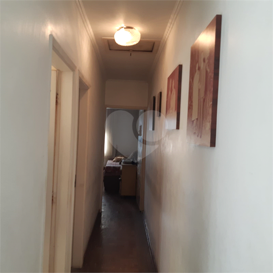 Foto REO1098609