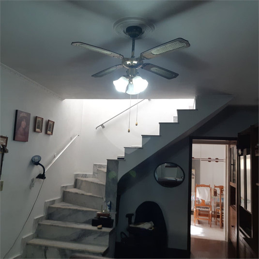 Foto REO1098609