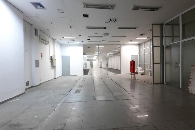 Foto REO1098611
