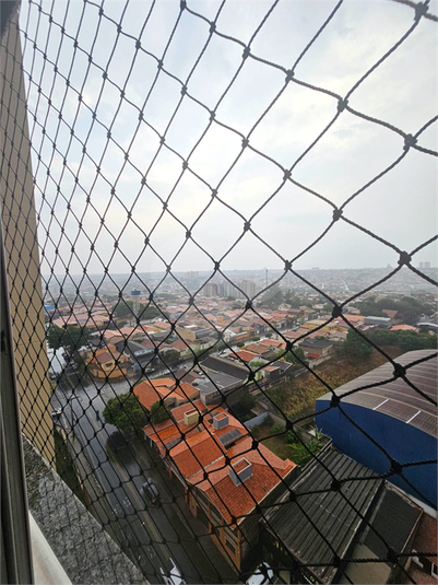 Foto REO1098614