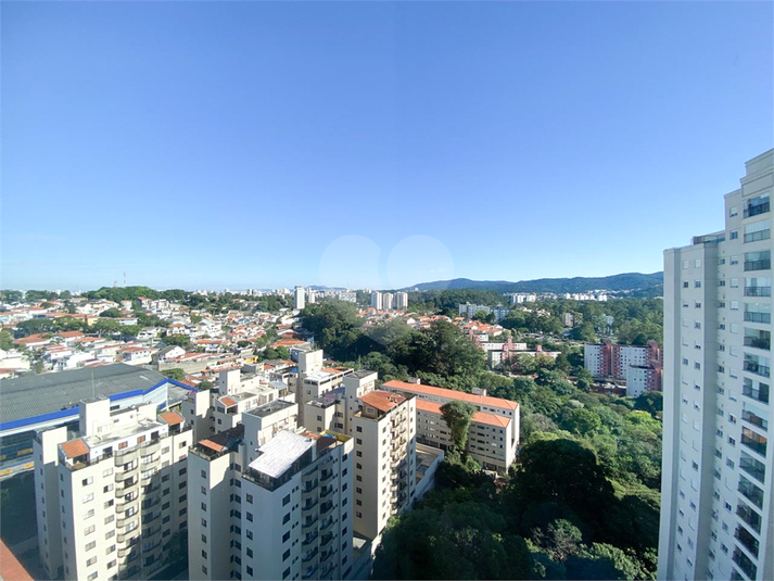 Foto REO1098619