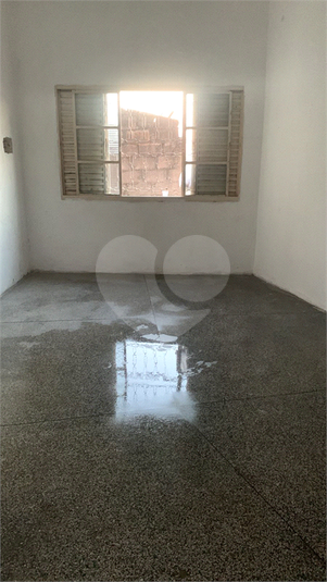 Foto REO1098622