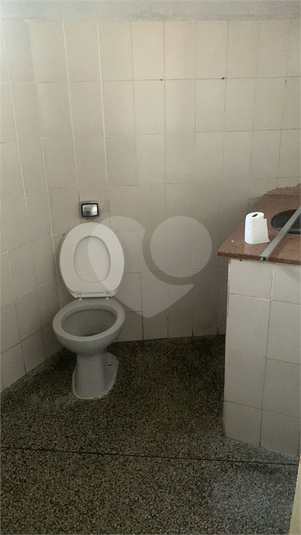 Foto REO1098622