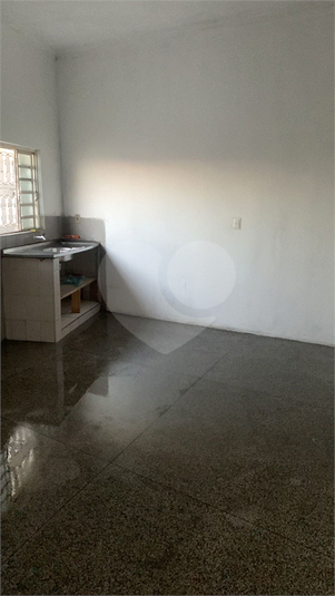 Foto REO1098622