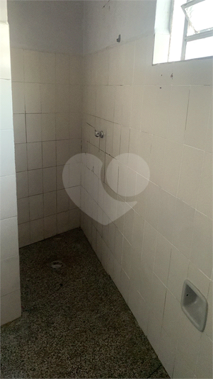 Foto REO1098622